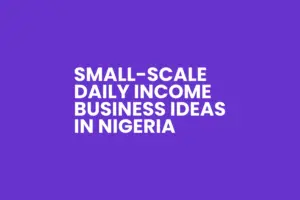 Daily Income Business in Nigeria for Ladies