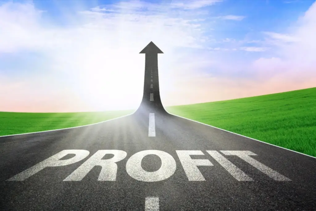 Profitable Business
