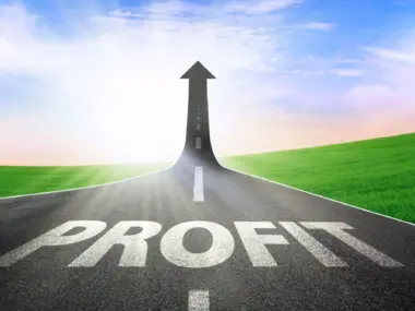Profitable Business