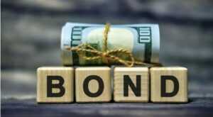 Government Bonds Investment in Nigeria: A Beginner's Complete Guide 4 Government Bonds Investment