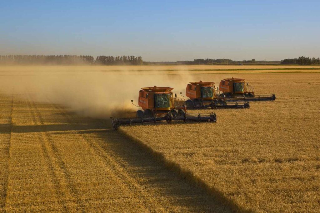 Agriculture Investment