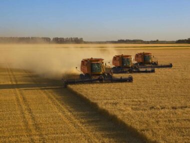 Agriculture Investment