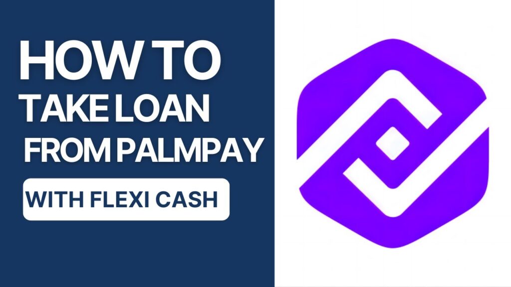 PalmPay Flexi