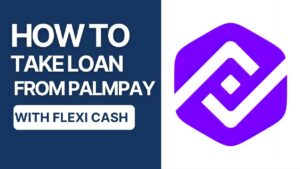 PalmPay Flexi: Everything You Need to Know About PalmPay's Flexible Credit Solution 2 PalmPay Flexi