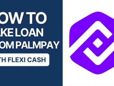 PalmPay Flexi