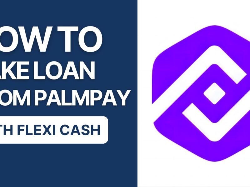 PalmPay Flexi