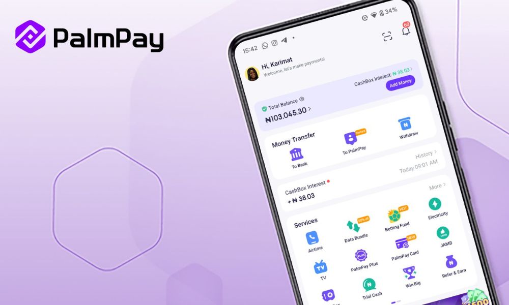 How to Transfer Money from Access Bank to PalmPay